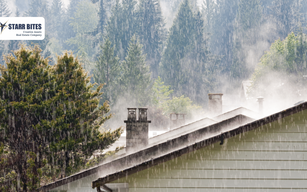 Shielding Your Home from Monsoon Woes: Essential Tips for a Dry and Safe Season