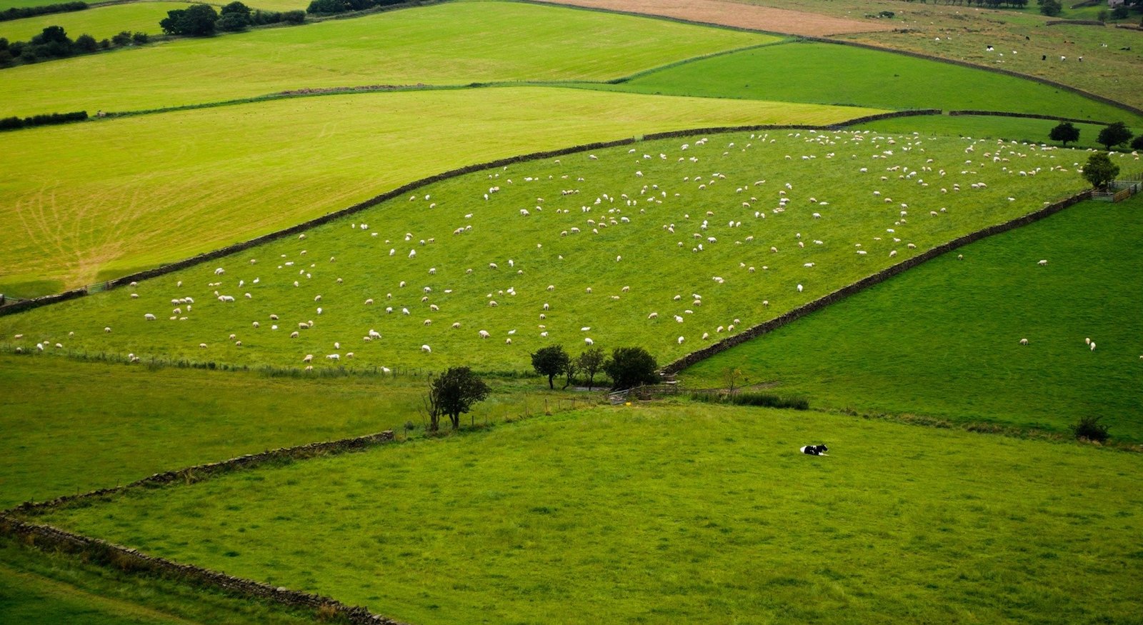 farmland investment locations near Bangalore 2025